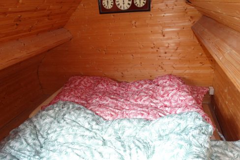 DSC02904