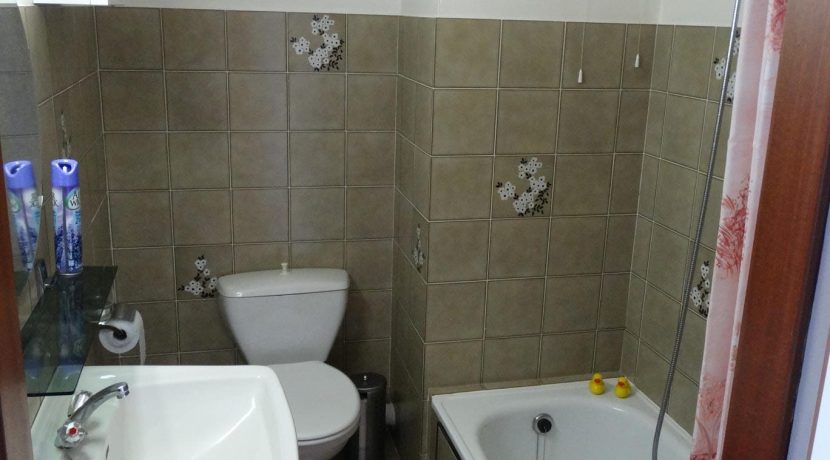 DSC00308